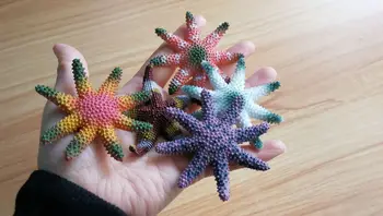 Tamanho pequeno pvc 5pcs/conjunto Sólido de animais marinhos modelo de cor de brinquedo estrela-do-mar, insípido e inodoro