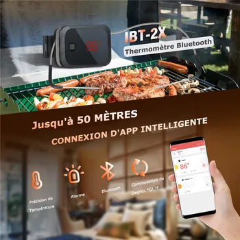 IBT-2X Portátil Digital de CHURRASCO Termômetro com Timer e Alarme