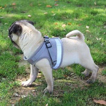 Novo Animal De Estimação Colete Estilo Trela Do Cão Reflexiva Tiras De Peito Personalizado Brinquedo Do Cão Coleira Ajustável, Puxe A Trela